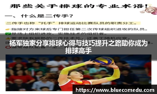 杨军独家分享排球心得与技巧提升之路助你成为排球高手