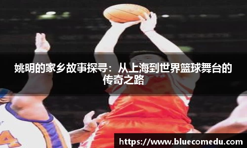 米兰体育官网